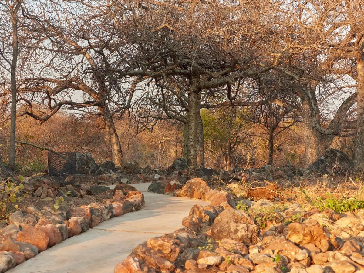Zuricamp - Tent Zahir Tsumeb Esterno foto